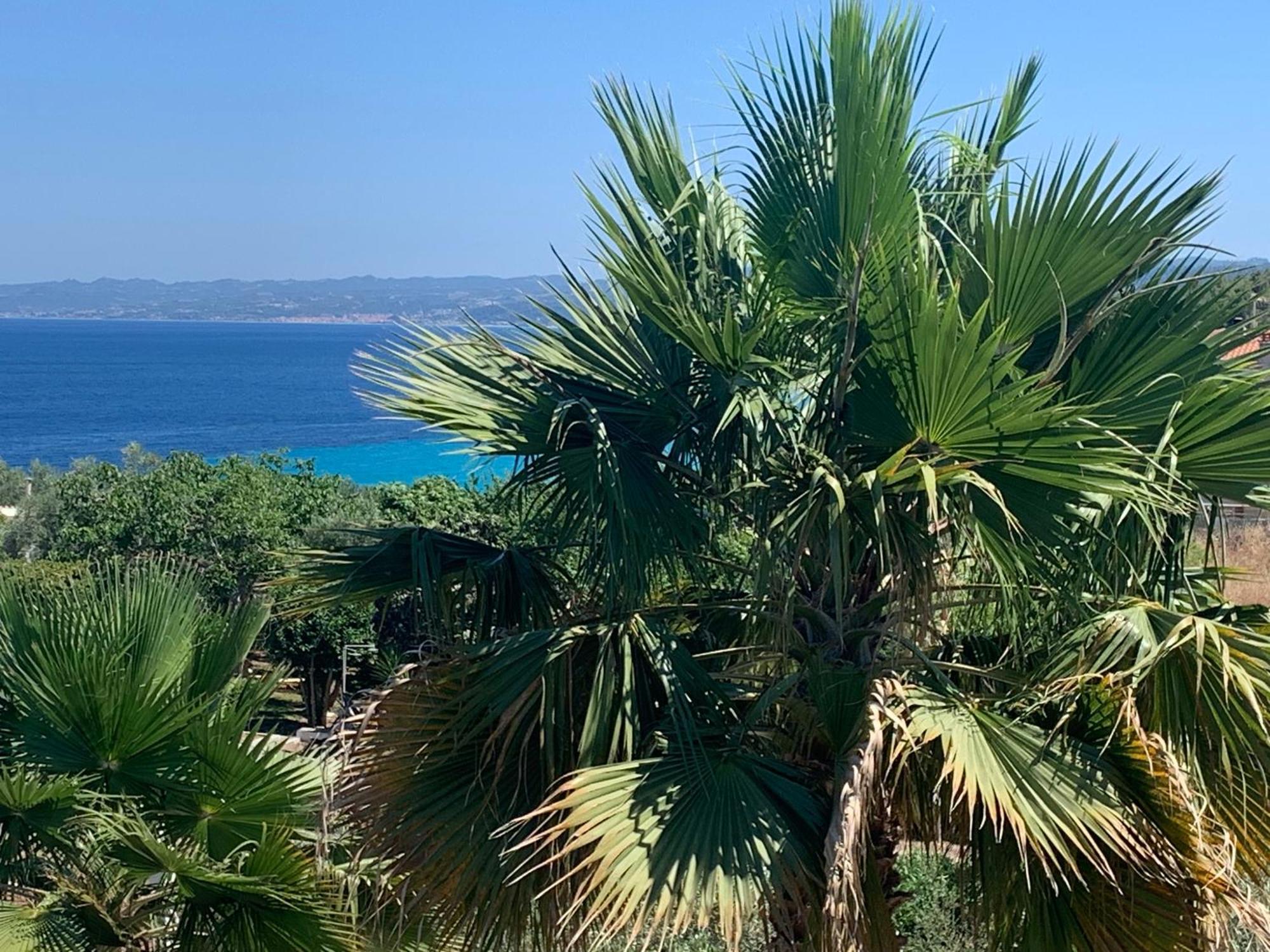 Villa Evita , Penthouse, 53M2 ,Athytos 450M From The Beach Afytos Zewnętrze zdjęcie