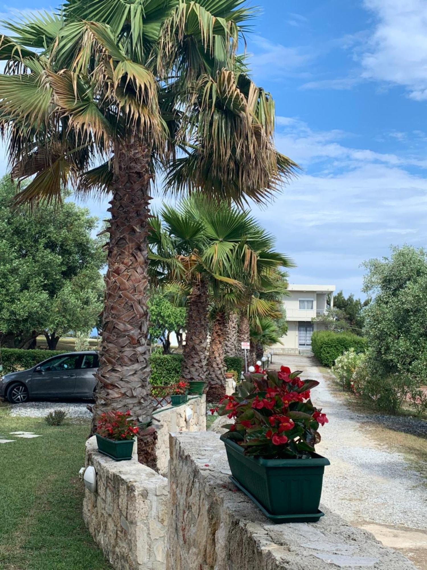 Villa Evita , Penthouse, 53M2 ,Athytos 450M From The Beach Afytos Zewnętrze zdjęcie